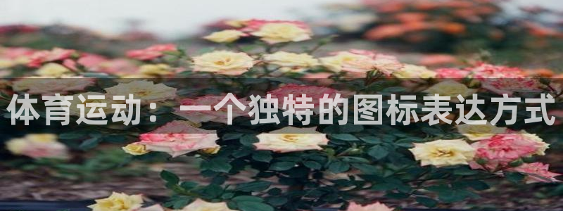 体育运动：一个独特的图标表达方式